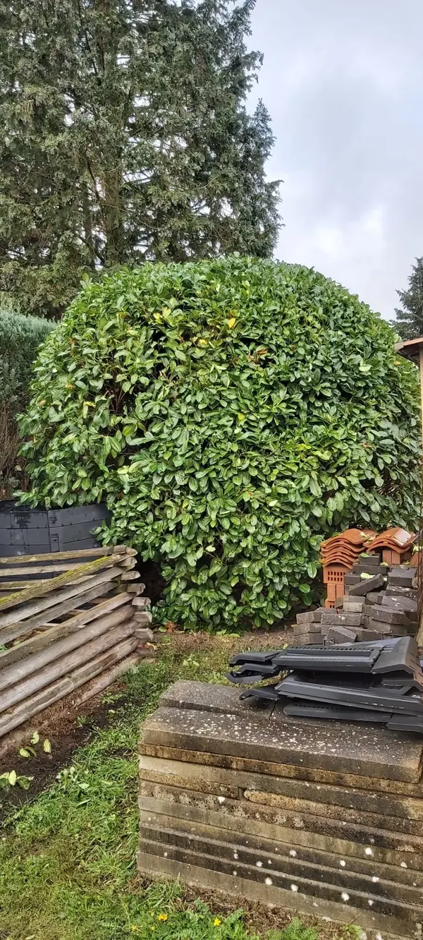 Gartenpflege und Baumaterial