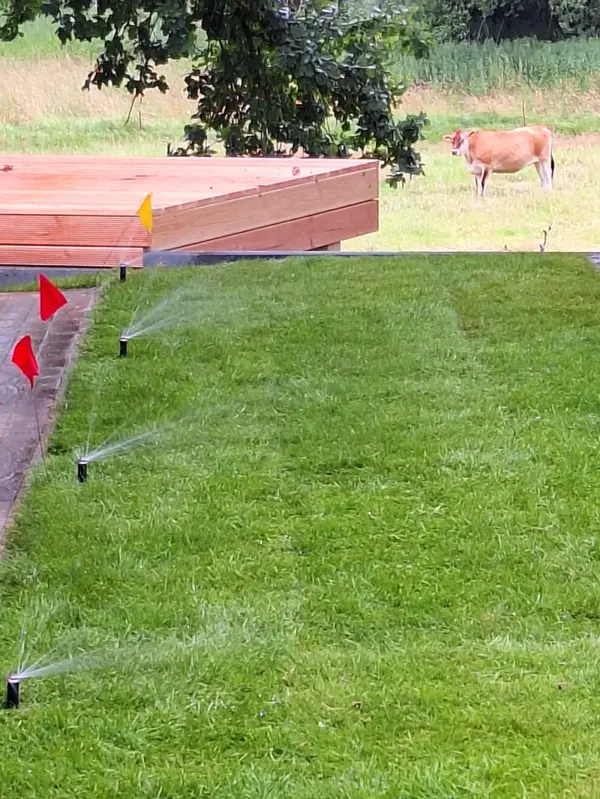 Rasenbewässerung im Einsatz