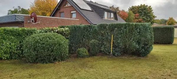 Wohngarten mit Photovoltaik