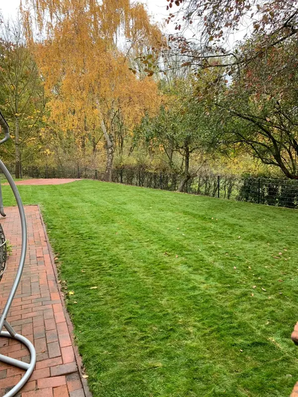 Herbstgarten mit Steinweg