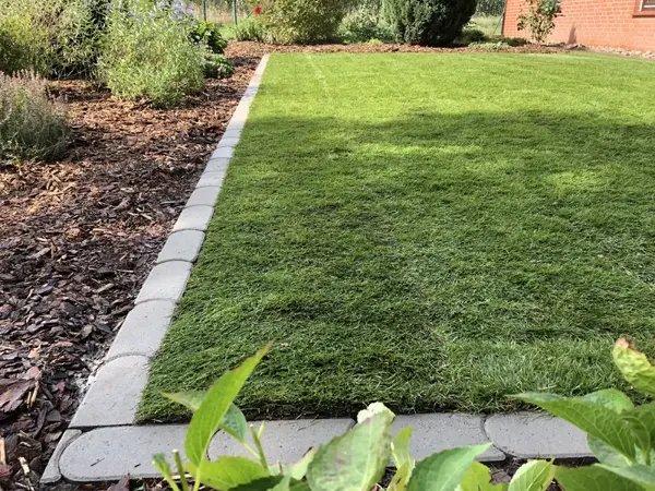 Frisch verlegter Rollrasen