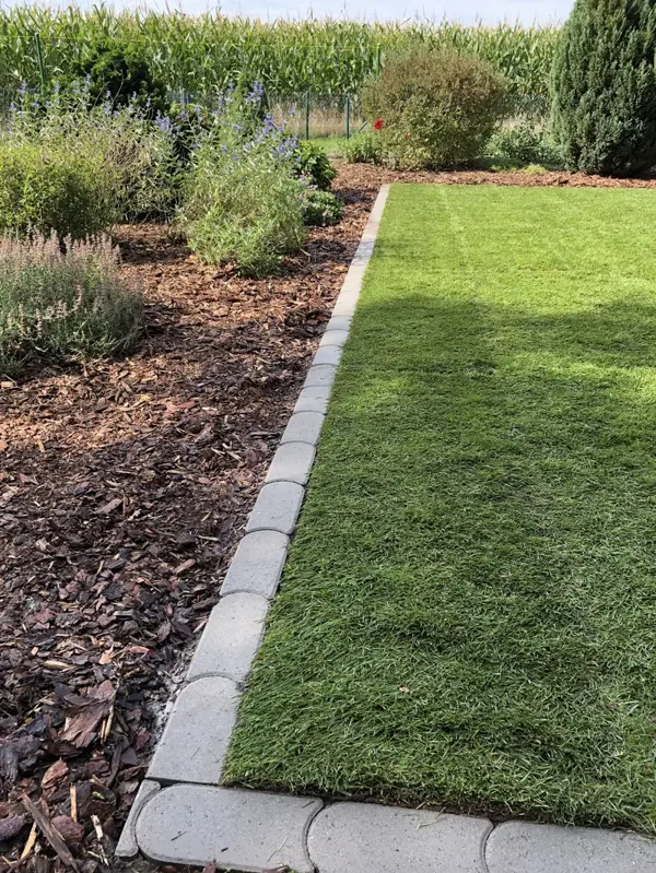 Rasenkantenabschluss zum Feld