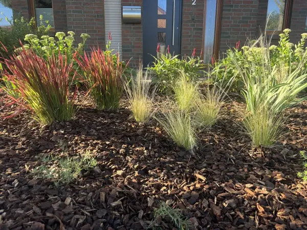 Ziergräser im Mulchbeet