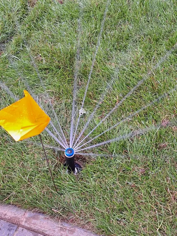 Automatisierte Bewässerung