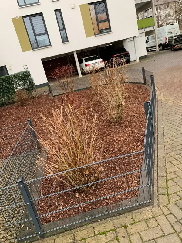 Winterliche Gartenansicht