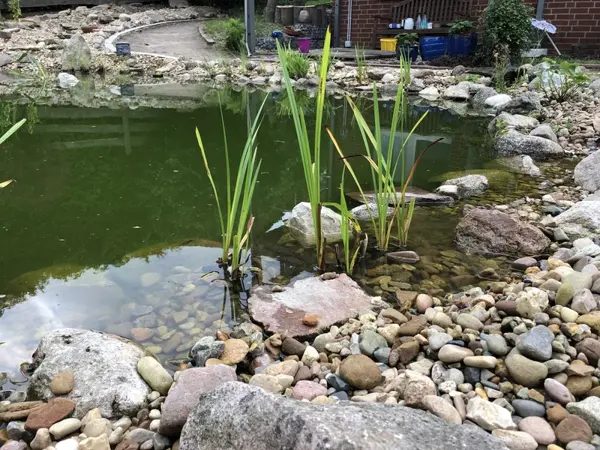 Teichlandschaft mit Ruhezone