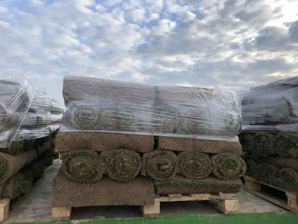 Lagerung Rollrasen