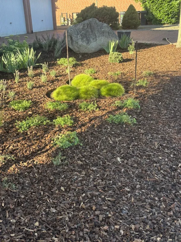 Gräser-Elemente im Garten