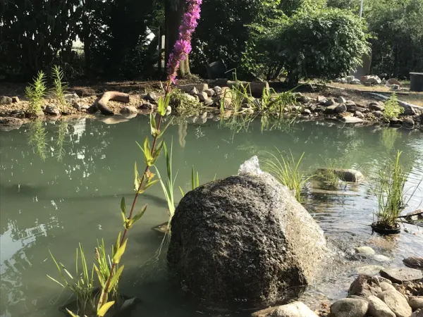 Quellstein im Teich